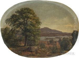 White Mountain Landscape