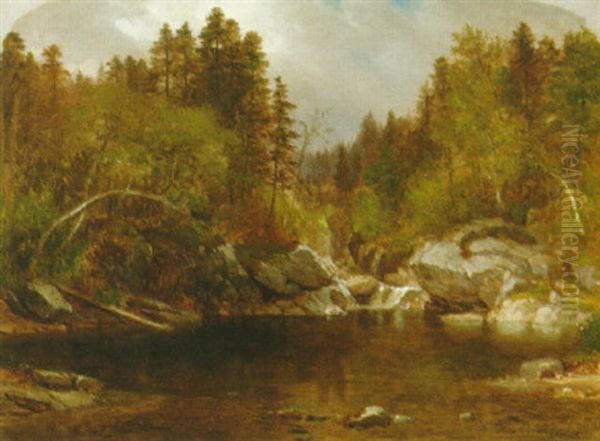 Calm Pond In Autumn - view 1