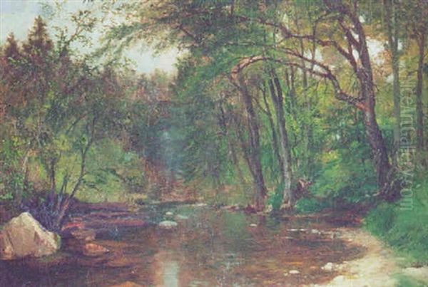 Wooded Stream - view 1