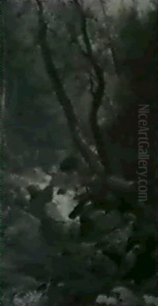 The Wooded Stream - view 1