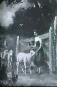 Feeding The Sheep