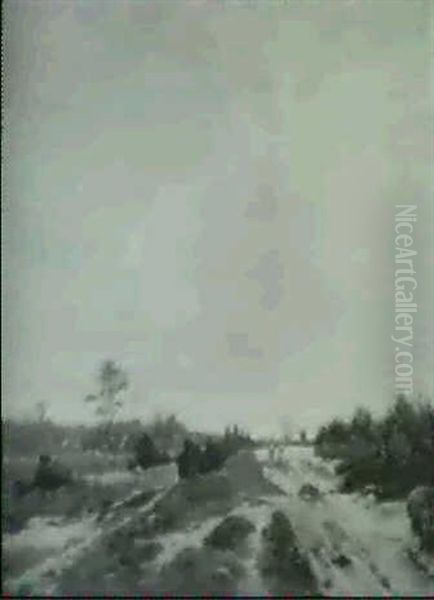 Heidelandschaft - view 1