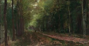 Sous-bois Anime