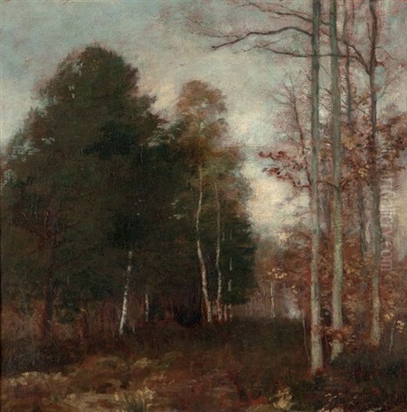 Paysage Arbore - view 1