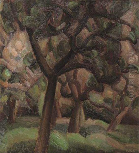 An Orchard In The Beemster - view 1