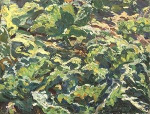 Koolveld
