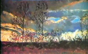 Landschap Landschap