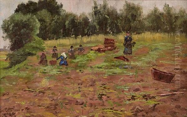 Frauen Bei Der Feldarbeit - view 1