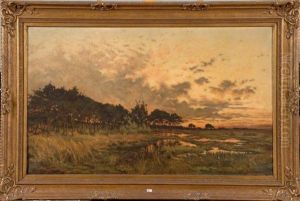 Crepuscule Sur Les Sapinieres De La Campine (after J. Coosemans)