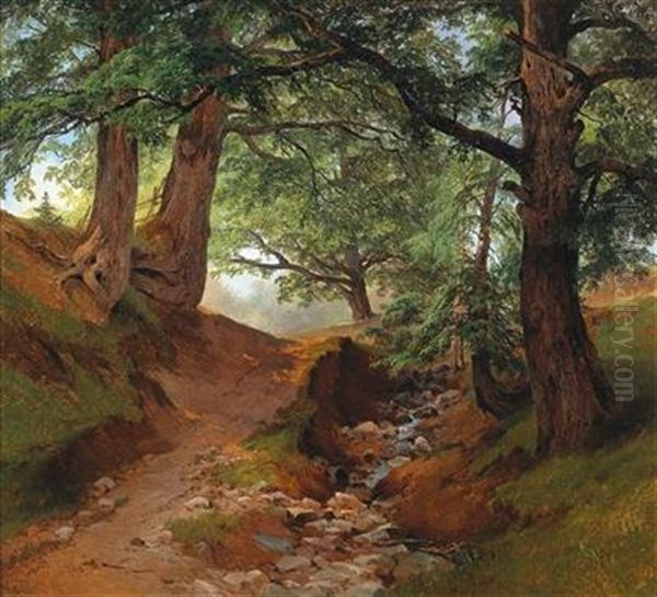 Forest Path Beside A Stream - view 1