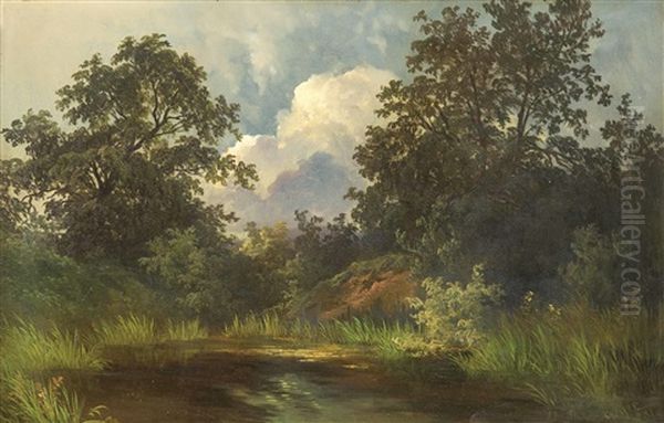 Bewaldete Teichlandschaft - view 1