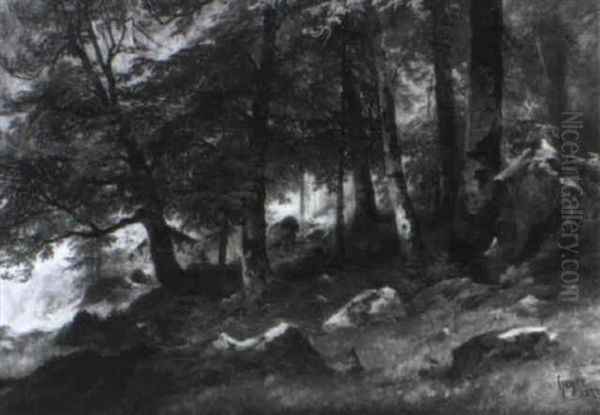 Waldlandschaft - view 1