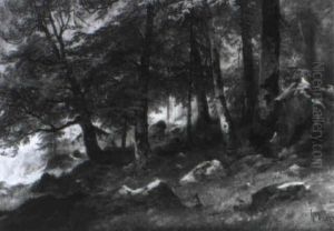 Waldlandschaft Waldlandschaft