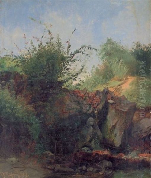 Wiesengrund Mit Felsblocken - view 1