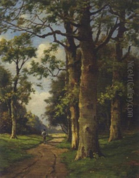 Seasons: A Forest Path In Summer - view 1