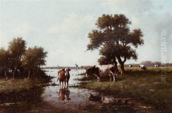 Cows Near The Water - view 1