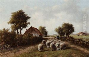 Sheep On A Country Road Sheep On A Country Road