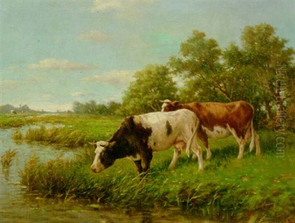 Cows In A Meadow - view 1