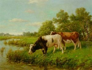 Cows In A Meadow Cows In A Meadow