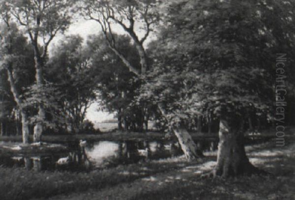 Ducks On A Pond In A Wooded Landscape - view 1
