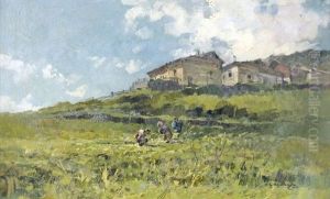 Valtellina, Raccolto Patate