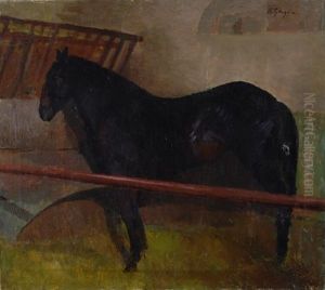 Cavallo Cavallo