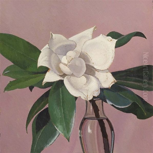 Magnolia - view 1