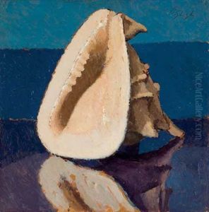 Conchiglia (+ Studi, Verso) Conchiglia (+ Studi, Verso)