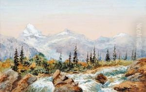 The Rocky Mountain by J. Baber