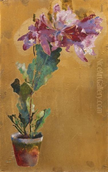 Blumentopf Mit Cattleya - view 1