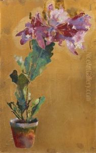 Blumentopf Mit Cattleya Blumentopf Mit Cattleya
