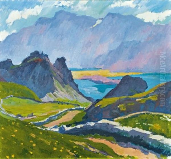 Grevasalvas (grevasalvas) - view 1