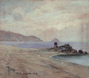 Noli