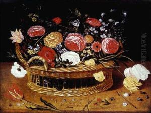 Nature Morte Nature Morte