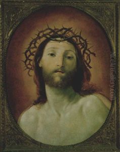 Testa Di Christo