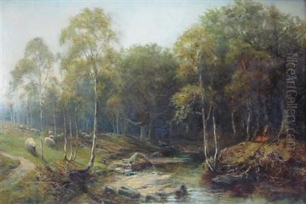 Rugley Burn, Northumberland - view 1