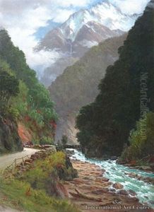 Otira Gorge With Coach