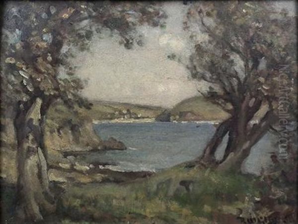 Trees Framing A Water Landscape - view 1