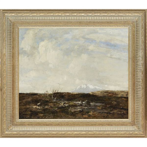 Desolate Moorland - view 1