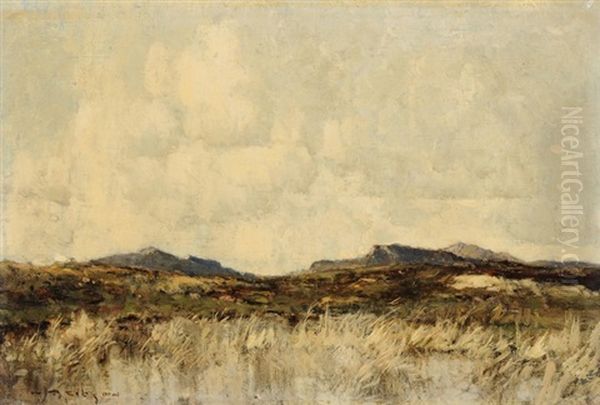 Schottische Gebirgslandschaft - view 1