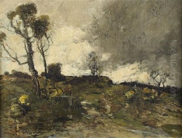 The Approaching Storm - view 1