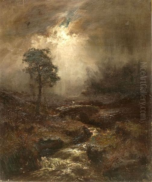 Moonlit River Landscape - view 1