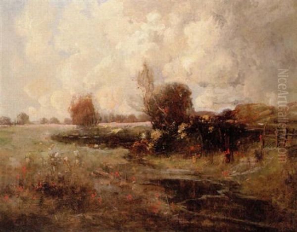 Corner Of A Poppy Field - view 1