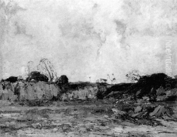 Windswept Rocky Landscape - view 1