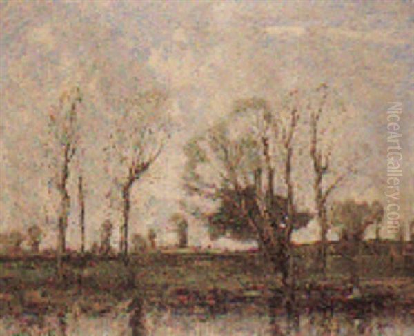 Near Christchurch - view 1