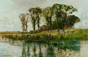 Sheep Grazing On A Wooded Bank