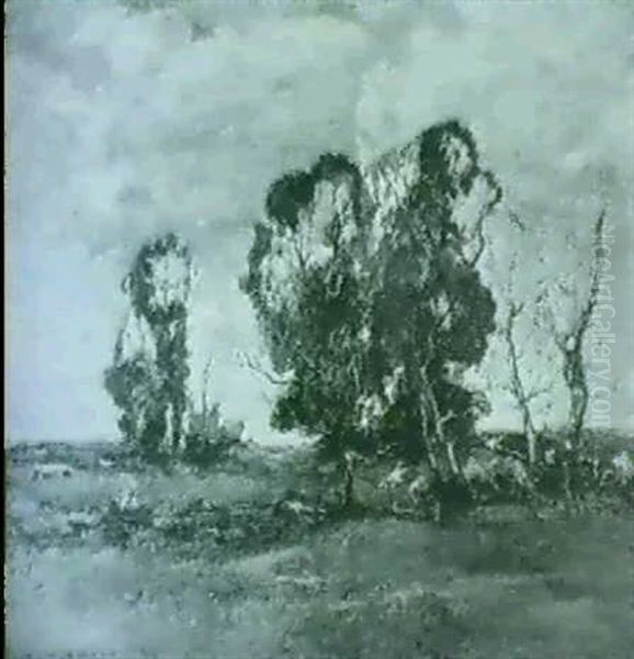 Wooded Landscape - view 1