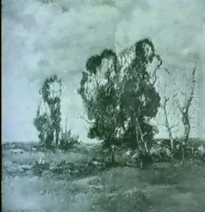 Wooded Landscape Wooded Landscape