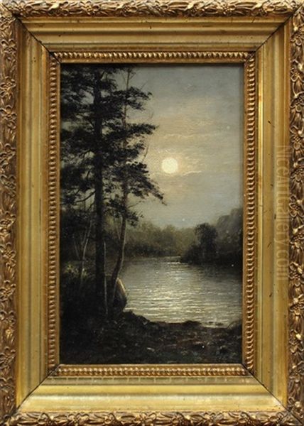 Moonlight Nocturne - view 1