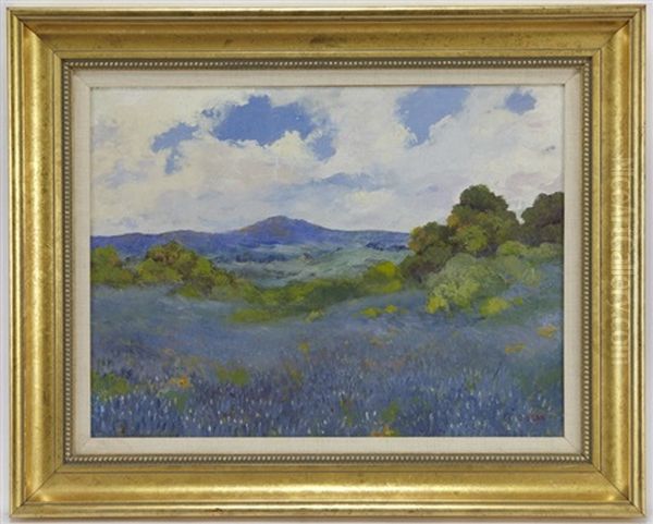 Bluebonnet - view 1